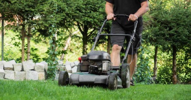 Betriebskosten Gartenpflege Das müssen Sie wissen Vermietet.de