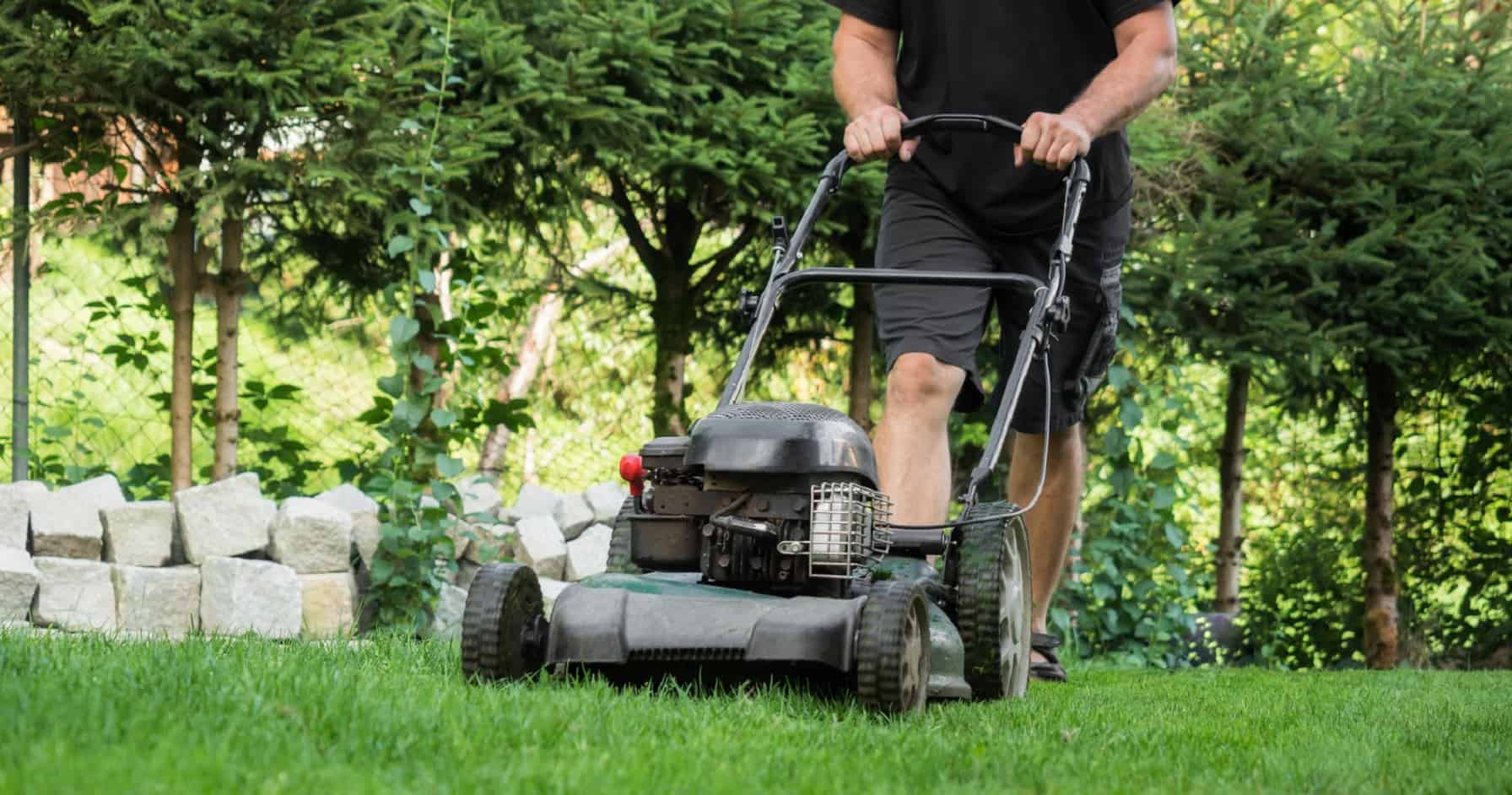 Nebenkosten Gartenpflege Wie Hoch - Wayneegade