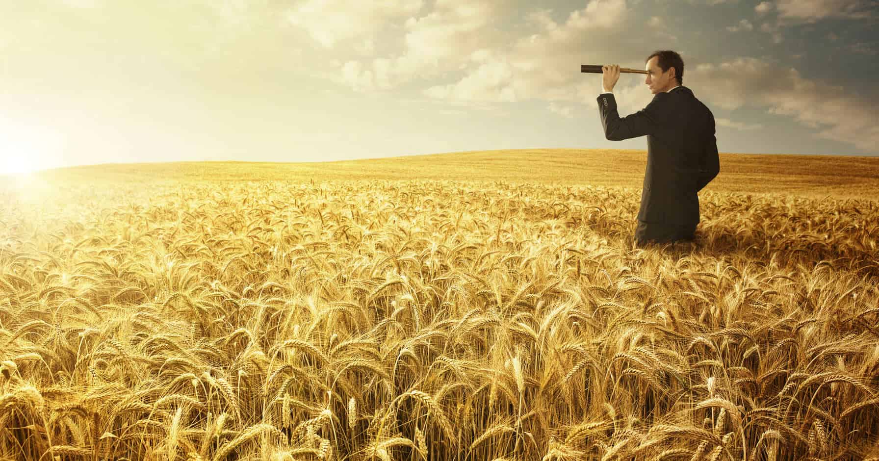 Grundstückswert ermitteln? Einfach mit Vermietet.de