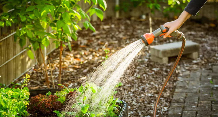 Gartenpflege Welche Kosten lassen sich bei den Nebenkosten umlegen