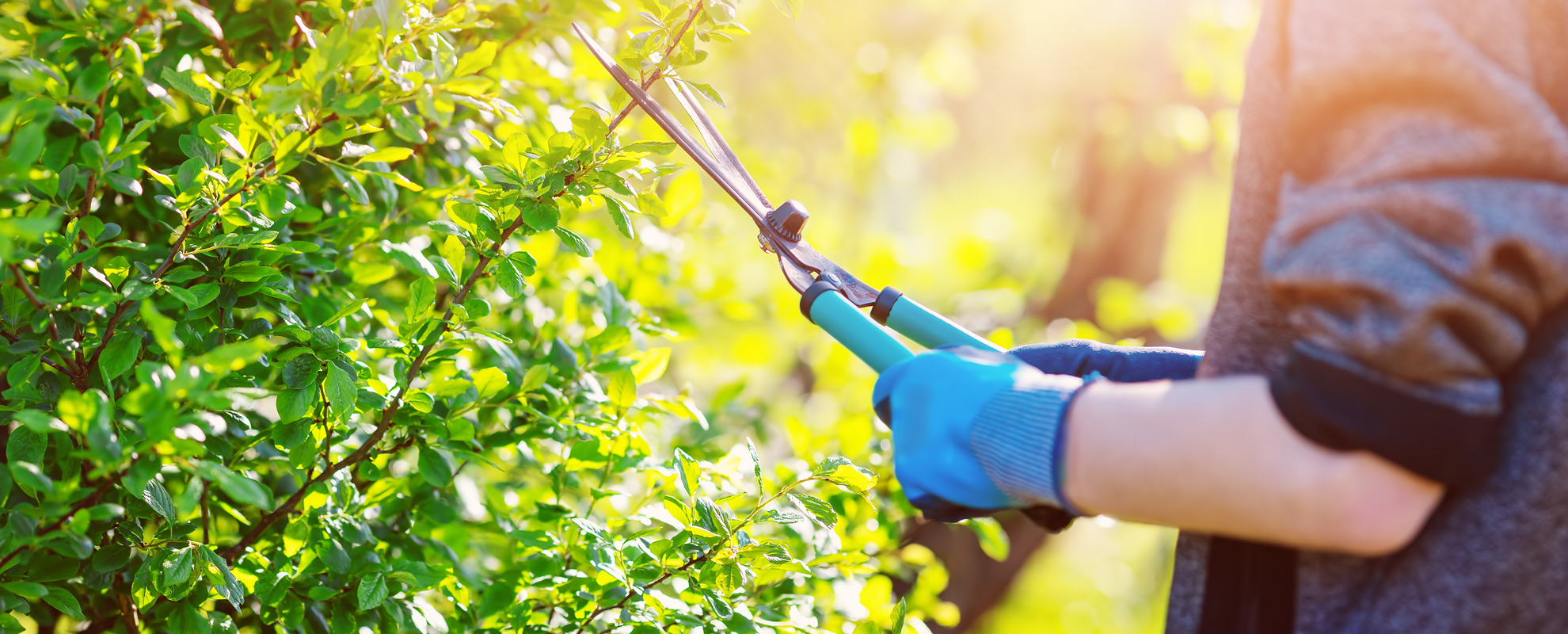 Haushaltsnahe Dienstleistungen Vermieter muss keine steuerliche